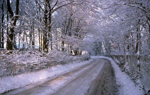 Park Lane Near Quex 1985